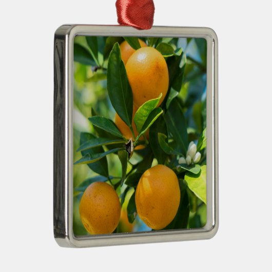 Obstbaum Ornament Aus Metall (Rechts)