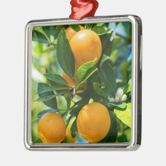 Obstbaum Ornament Aus Metall (Links)