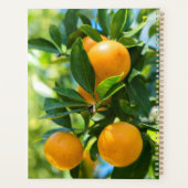 Obstbaum Planer (Rückseite)