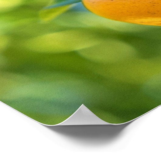 Obstbaum Poster (Ecke)