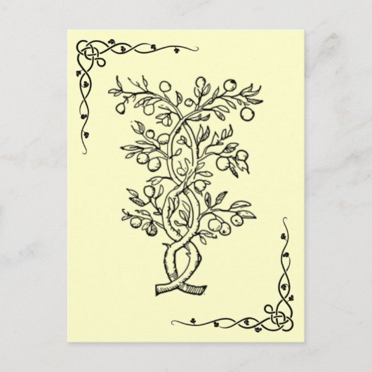 Obstbaum Postkarte (Vorderseite)