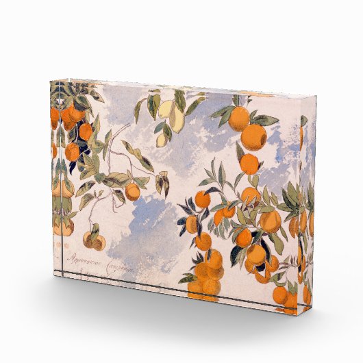Obstbäume - Edward Lear Fotoblock (Rechts)
