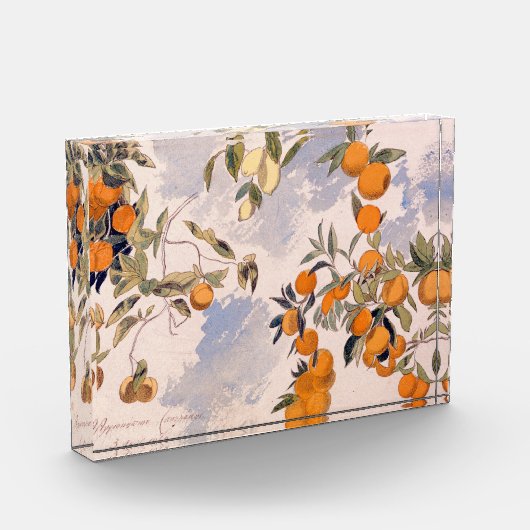 Obstbäume - Edward Lear Fotoblock (Links)