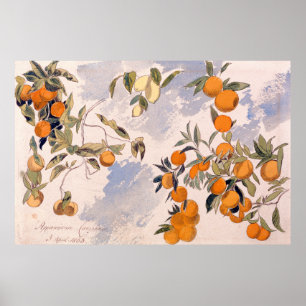 Obstbäume - Edward Lear Poster