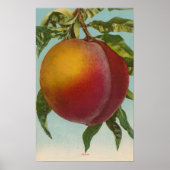 Obstchromlithograph von PeachFruitState Poster (Vorne)