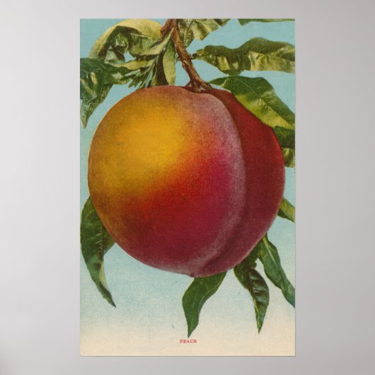 Obstchromlithograph von PeachFruitState Poster (Vorne)