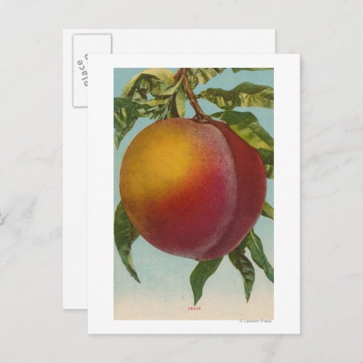 Obstchromlithograph von PeachFruitState Postkarte (Vorne/Hinten)