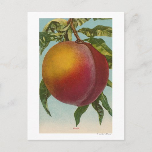 Obstchromlithograph von PeachFruitState Postkarte (Vorderseite)