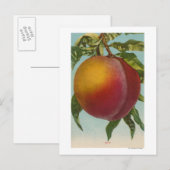 Obstchromlithograph von PeachFruitState Postkarte (Vorne/Hinten)