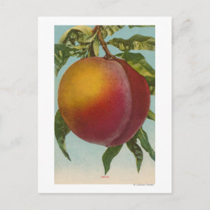 Obstchromlithograph von PeachFruitState Postkarte