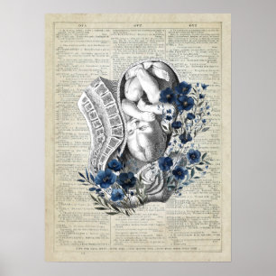Obstetrics Baby in Womb Anatomy Blue Floral Art Poster