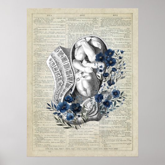 Obstetrics Baby in Womb Anatomy Blue Floral Art Poster (Vorne)