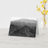 Obstgärten am Verbieten der Höhen, Mt. San Karte (Gelbe Blume)