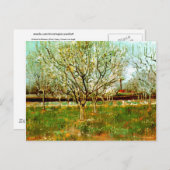 Obstgarten in Blossom (Pflaumen), Vincent van Gogh Postkarte (Vorne/Hinten)