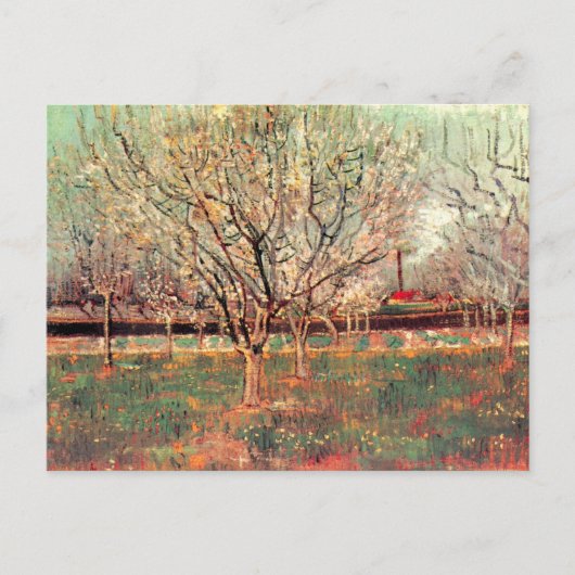Obstgarten in Blossom, Pflaumen von Vincent van Go Postkarte (Vorderseite)