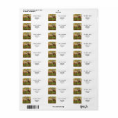 Obstgarten in Blossom, Vincent van Gogh (Vorne)