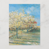 Obstgarten in Blossom | Vincent van Gogh Postkarte (Vorderseite)