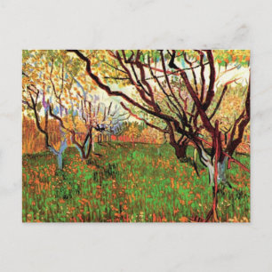 Obstgarten in Blossom, Vincent van Gogh Postkarte