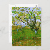 Obstgarten in Blossom, Vincent van Gogh Postkarte (Vorne/Hinten)
