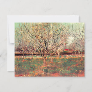Obstgarten in Blüte, Pflaumenbäume von Vincent van