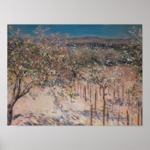 Obstgarten mit blühenden Apfelbäumen, Kolumbien Poster