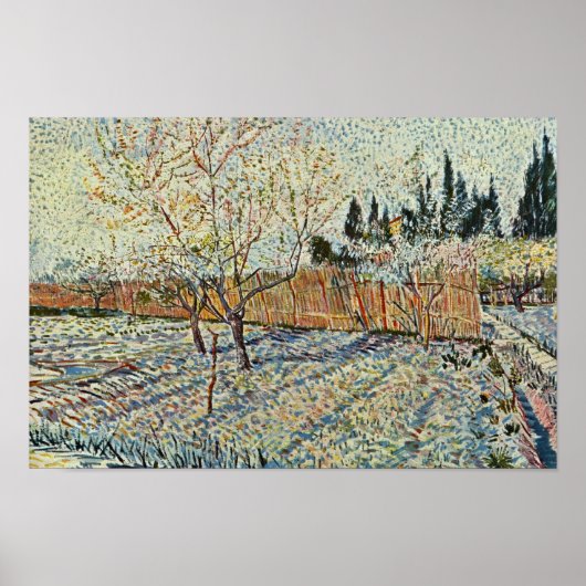 Obstgarten mit Cypress von Vincent Van Gogh Poster (Vorne)