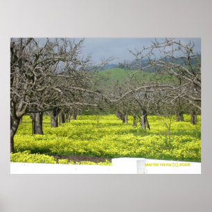 Obstgarten-Senf-Felder Poster