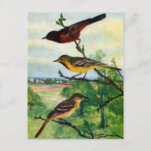 Obstgarten-Trupiale Vintage-Gemälde Postkarte
