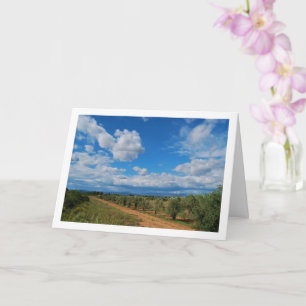 Obstgarten Weg Himmel Landschaft Karte