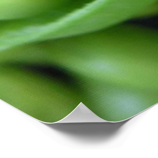 OBSTGEMÜSE POSTER (Ecke)