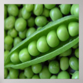 OBSTGEMÜSE POSTER (Vorne)