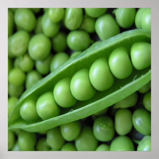 OBSTGEMÜSE POSTER (Vorne)