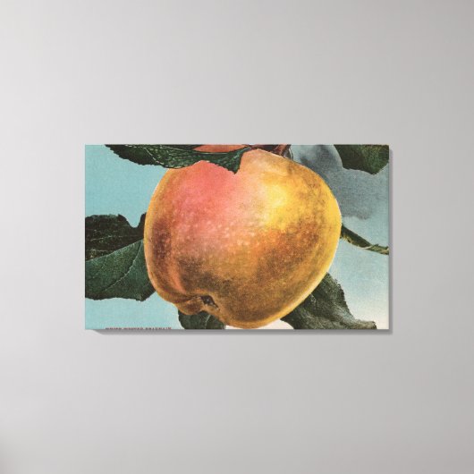 Obstkalender Lithograph von White Winter Pearmain Leinwanddruck (Vorderseite)