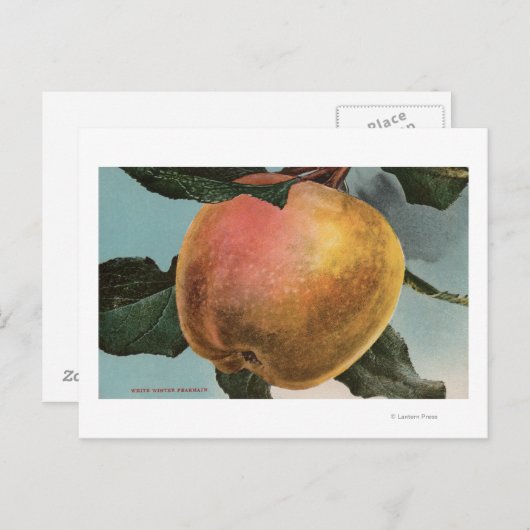 Obstkalender Lithograph von White Winter Pearmain Postkarte (Vorne/Hinten)