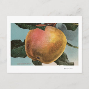 Obstkalender Lithograph von White Winter Pearmain Postkarte