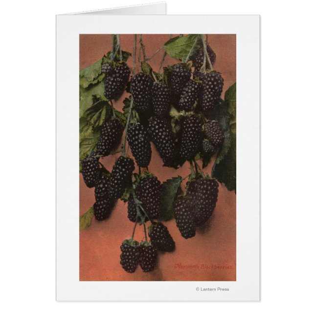 Obstkrebs-Lithograph (Vorne)