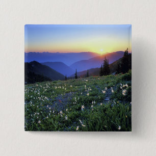 Obstruciton Point Sonnenuntergang, Olympic NP, WA, Button
