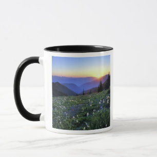 Obstruciton Point Sonnenuntergang, Olympic NP, WA, Tasse