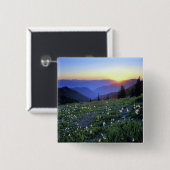 Obstrucon Point Sunset, Olympic NP, WA, USA Button (Vorne & Hinten)