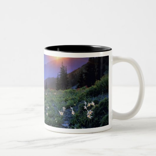 Obstrucon Point Sunset, Olympic NP, WA, USA Zweifarbige Tasse (Rechts)