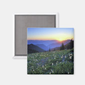 Obstruction Point Sunset, Olympic NP, WA, USA Magnet (Vorderseite/Rückseite)