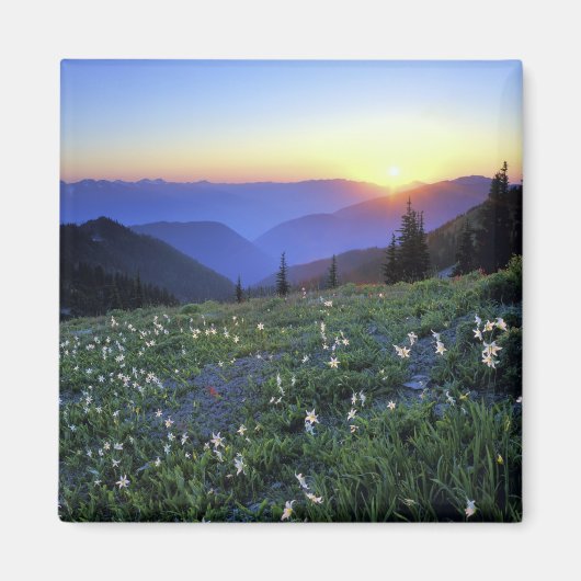 Obstruction Point Sunset, Olympic NP, WA, USA Magnet (Vorne)