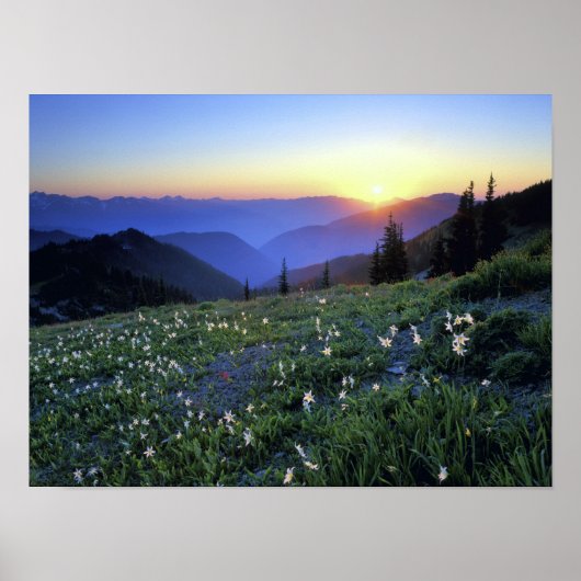 Obstruction Point Sunset, Olympic NP, WA, USA Poster (Vorne)