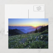 Obstruction Point Sunset, Olympic NP, WA, USA Postkarte (Vorne/Hinten)