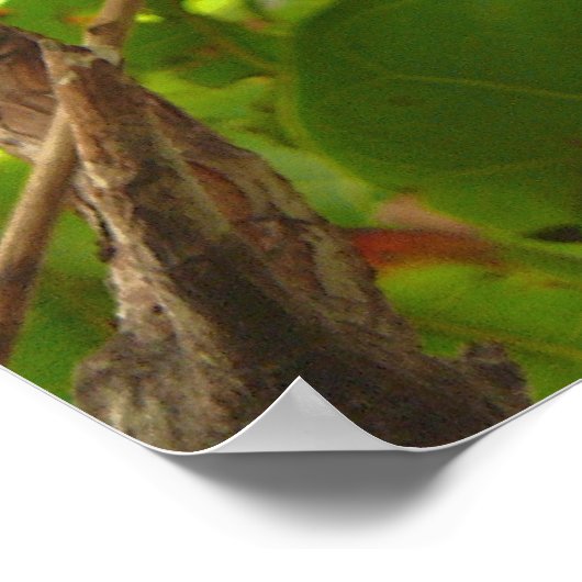 Obstschale Poster (Ecke)