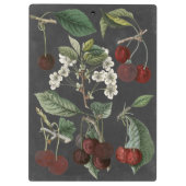 Obstsorten I Klemmbrett (Rückseite)