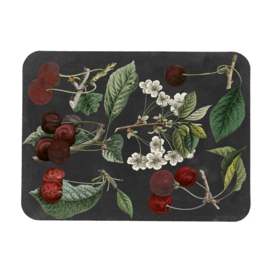 Obstsorten I Magnet (Horizontal)