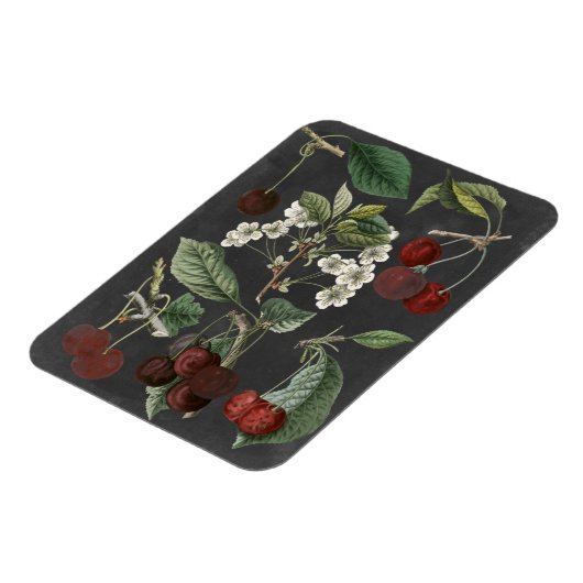 Obstsorten I Magnet (Linke Seite)