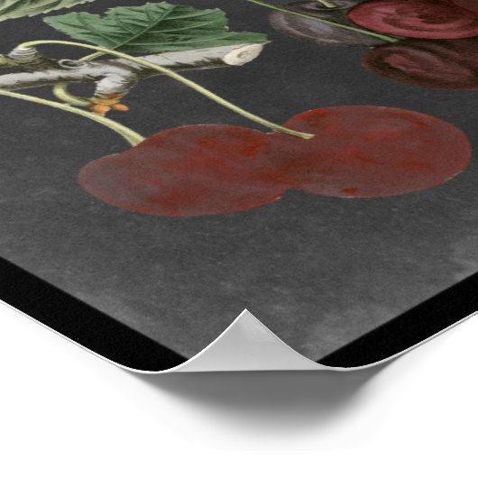 Obstsorten I Poster (Ecke)