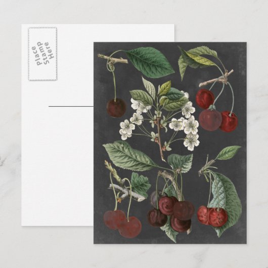 Obstsorten I Postkarte (Vorne/Hinten)